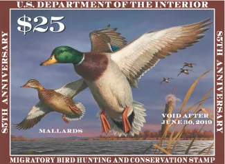 Waterfowl Stamp Design Contest Deadline for Entries is Aug. 1